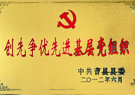 _0002_12、創(chuàng)先爭優(yōu)先進(jìn)基層黨組織
